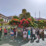 260403 Arboles singulares (2)